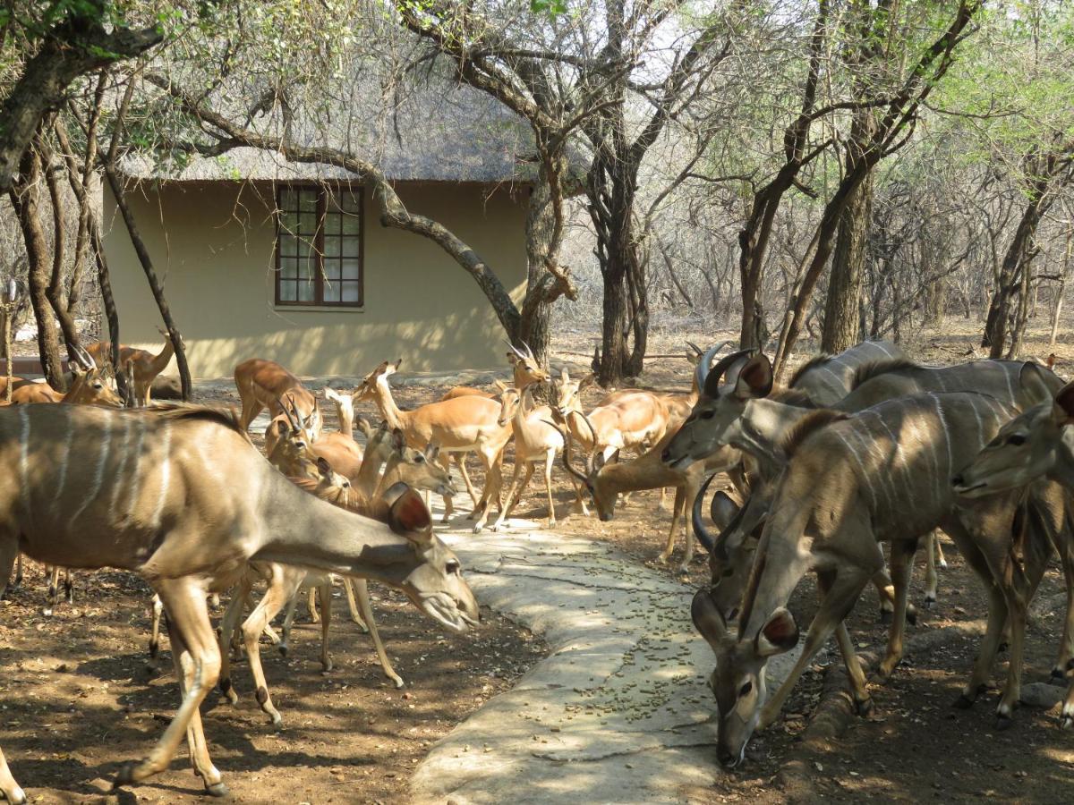 Kruger Private Lodge Marloth Park Extérieur photo