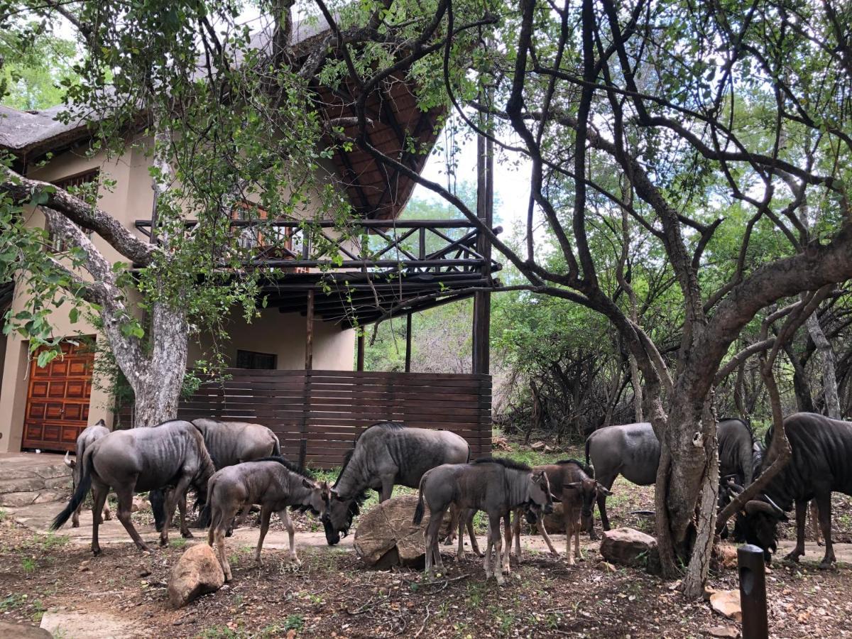Kruger Private Lodge Marloth Park Extérieur photo
